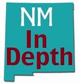 NM in Depth logo